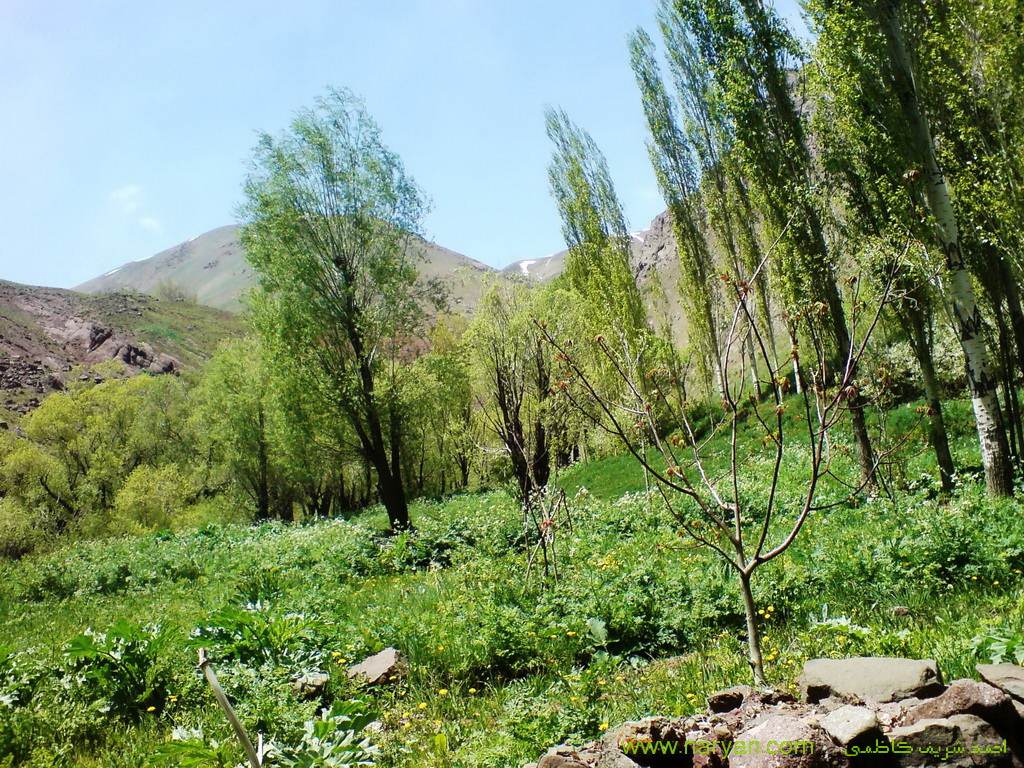 AhmadSharifKazemi1393 (18).jpg